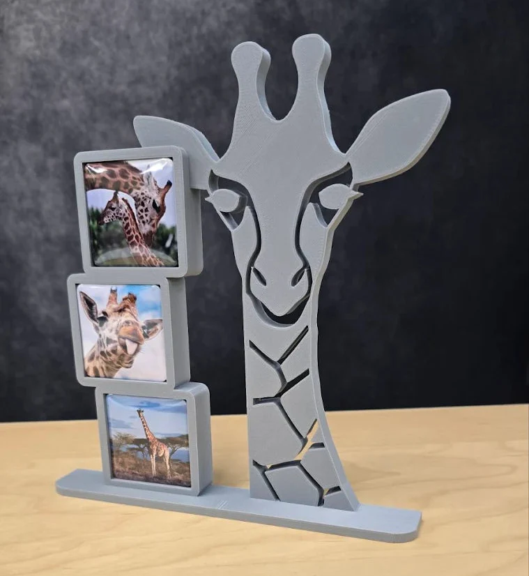 3d Printed Frames — 2